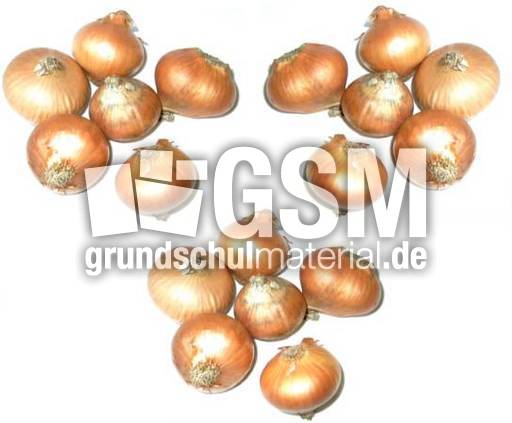 Zwiebeln-3x6.jpg
